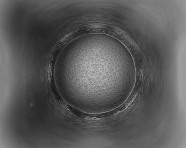 X0000087670821200705111155