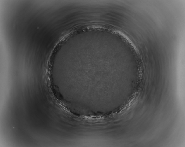 X0000087670823200705111156