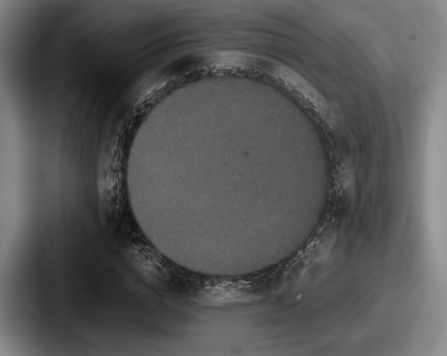 X0000087670824200705111156