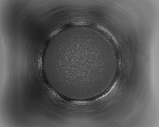 X0000087670825200705111156