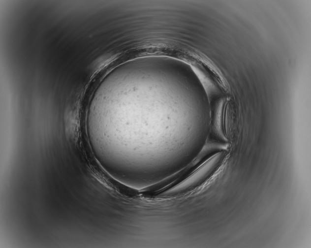 X0000087670826200705111156