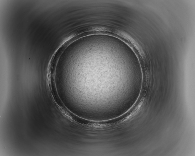 X0000087670827200705111156