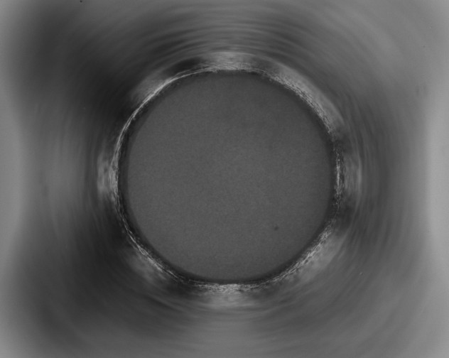 X0000087670828200705111156