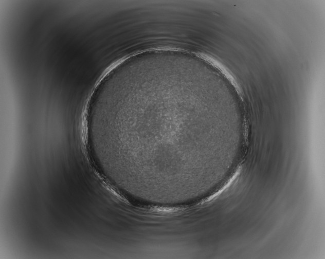 X0000087670829200705111156