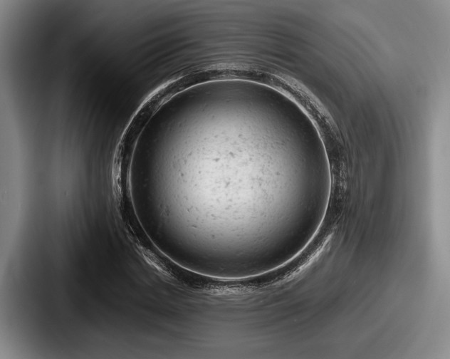 X0000087670830200705111156