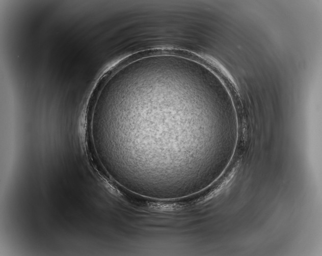 X0000087670831200705111156