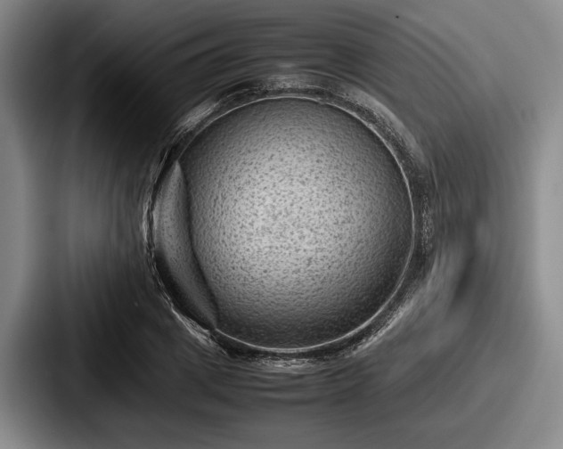 X0000087670833200705111156