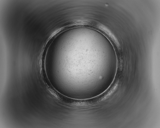 X0000087670834200705111156