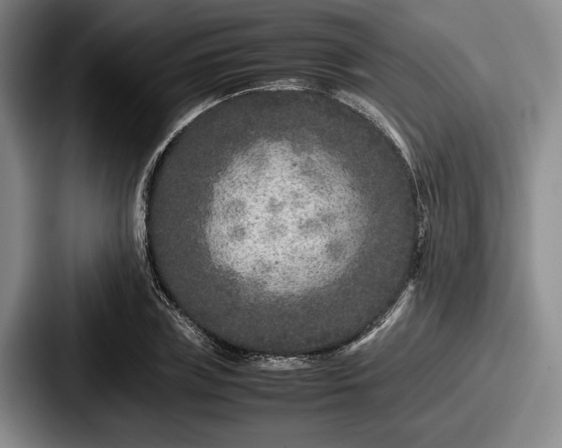 X0000087670835200705111156