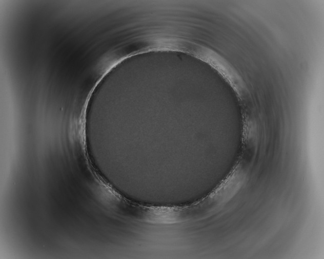 X0000087670836200705111156