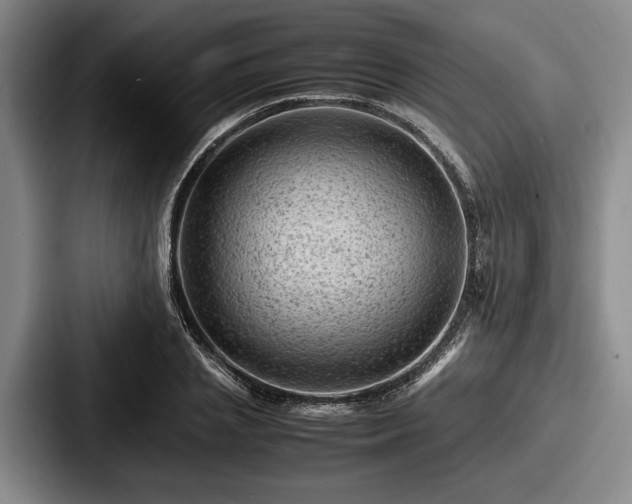 X0000087670837200705111156