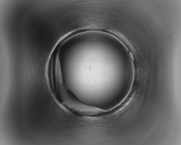 X0000087670838200705111156