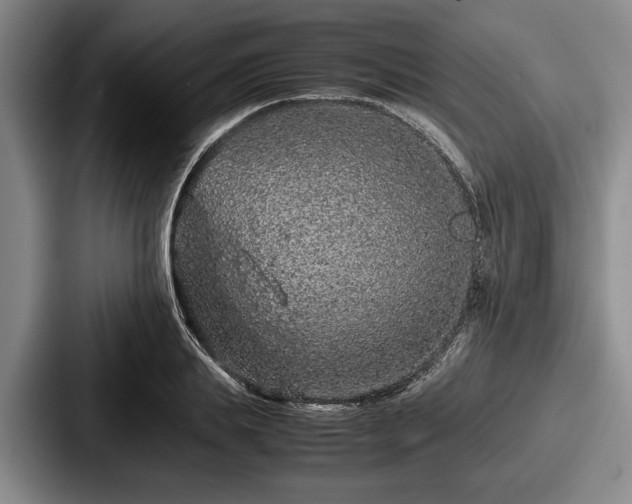 X0000087670839200705111156