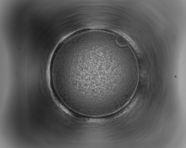 X0000087670840200705111156