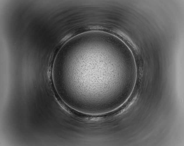 X0000087670841200705111156