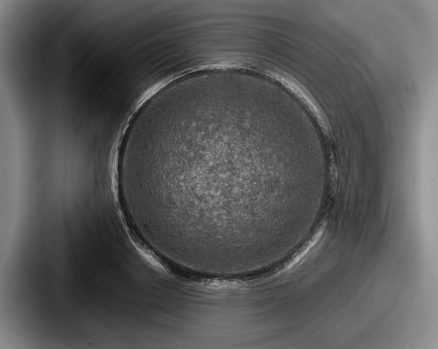 X0000087670842200705111156