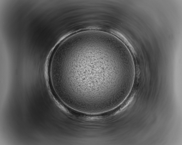 X0000087670843200705111156