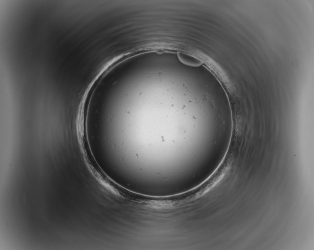 X0000087670844200705111156