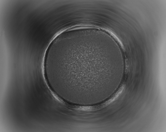 X0000087670845200705111156