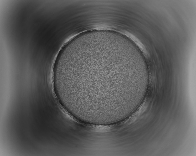 X0000087670848200705111156