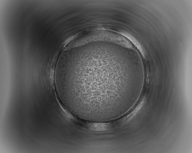 X0000087670849200705111156