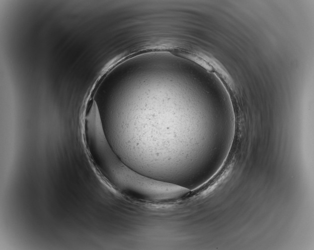 X0000087670850200705111156