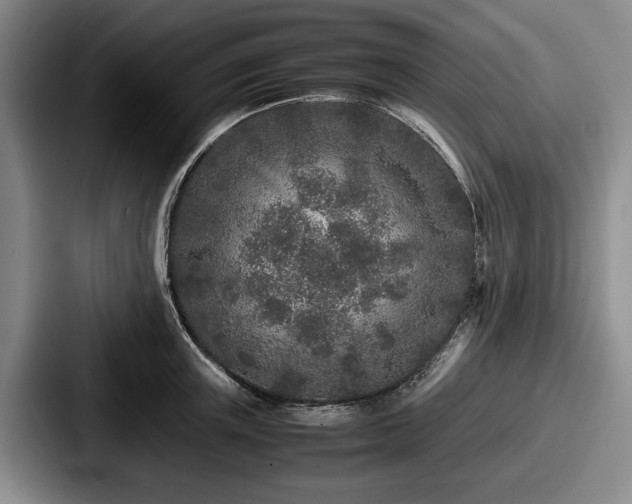 X0000087670851200705111156