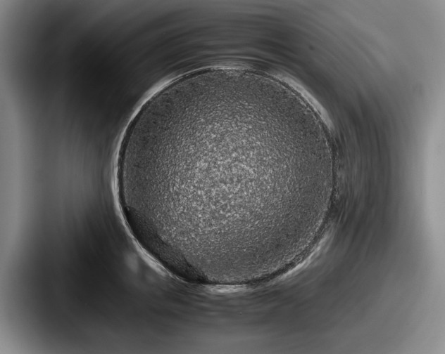 X0000087670853200705111156