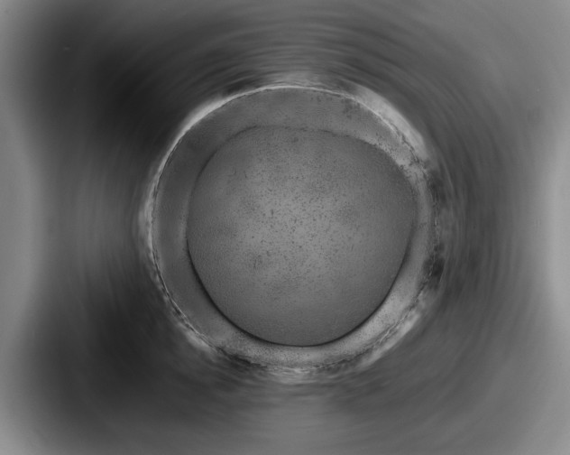 X0000087670854200705111156