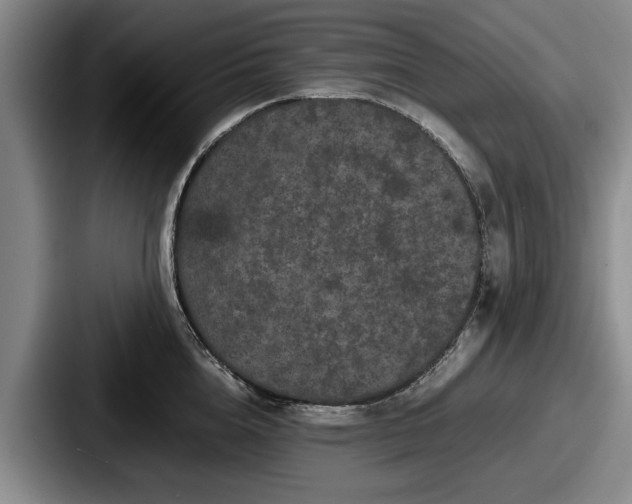 X0000087670856200705111156