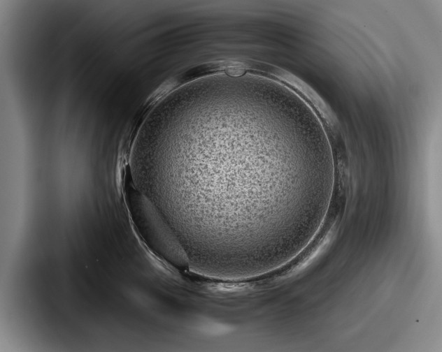 X0000087670857200705111156