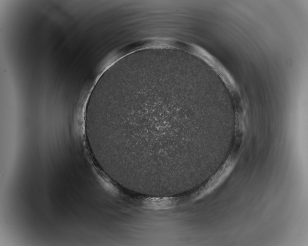 X0000087670858200705111156