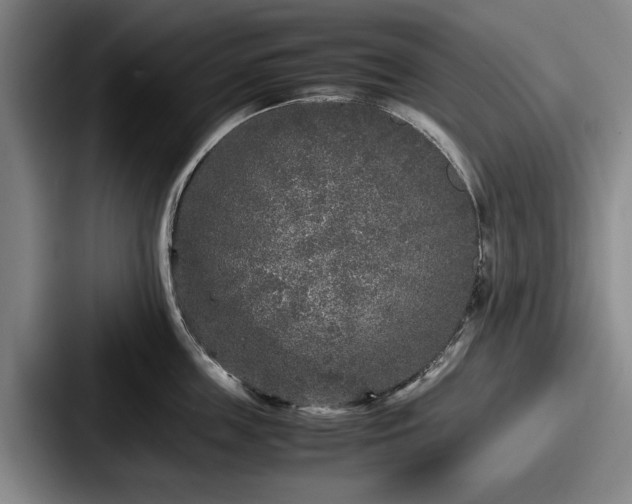 X0000087670859200705111156