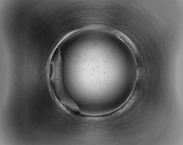 X0000087670860200705111156