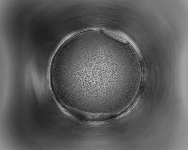 X0000087670861200705111156