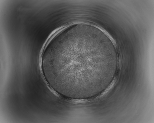 X0000087670862200705111156