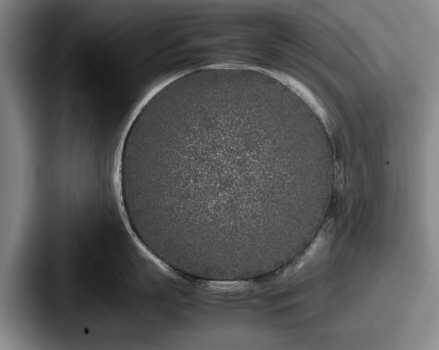 X0000087670863200705111156