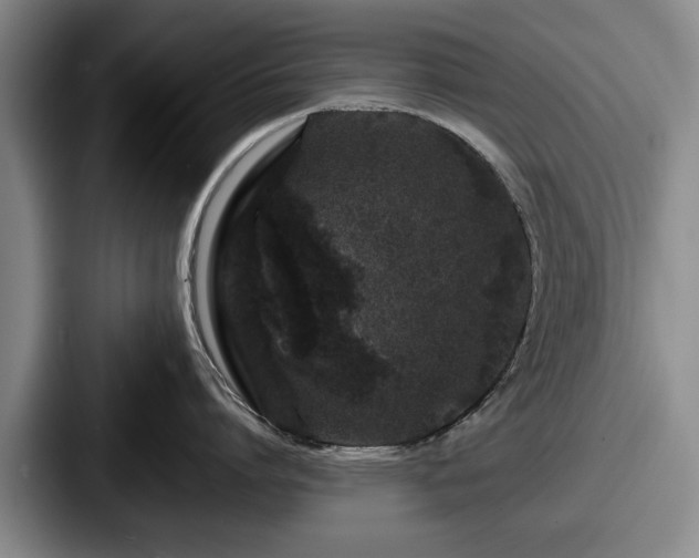 X0000087670864200705111156