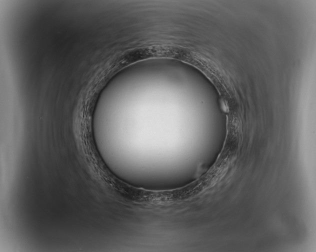 X0000087670865200705111155