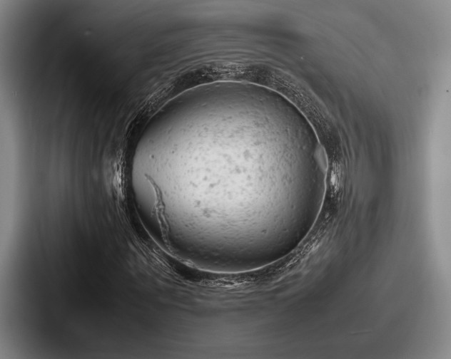 X0000087670867200705111155