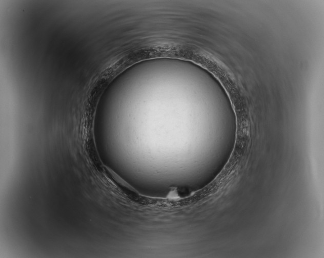 X0000087670869200705111155