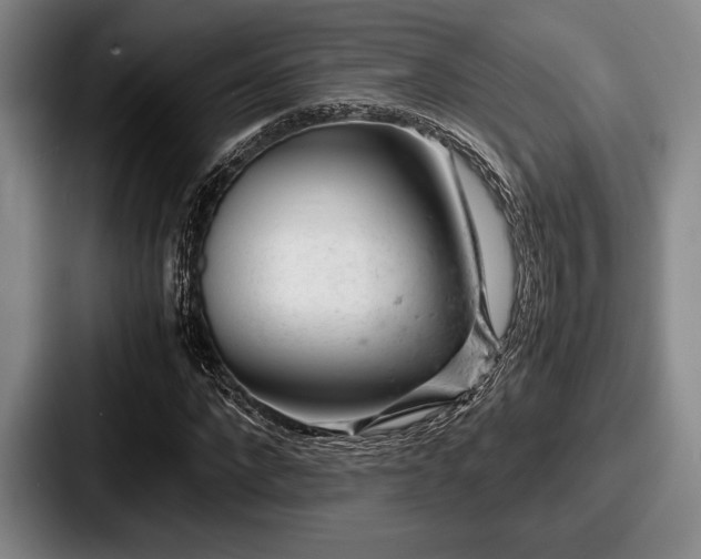 X0000087670872200705111155