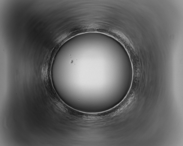 X0000087670873200705111155