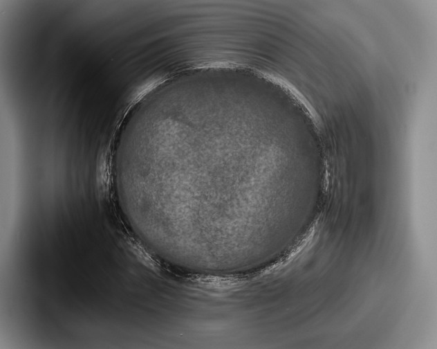 X0000087670874200705111155