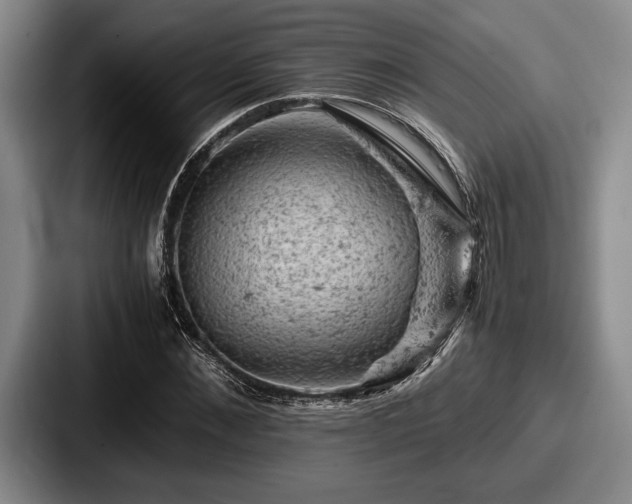 X0000087670876200705111155