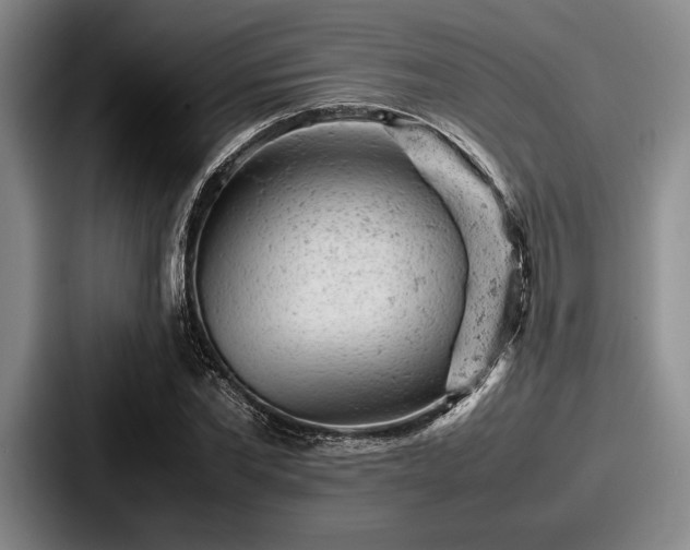 X0000087670877200705111155