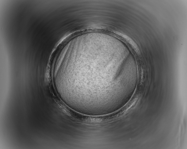 X0000087670878200705111155