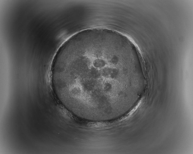 X0000087670879200705111155