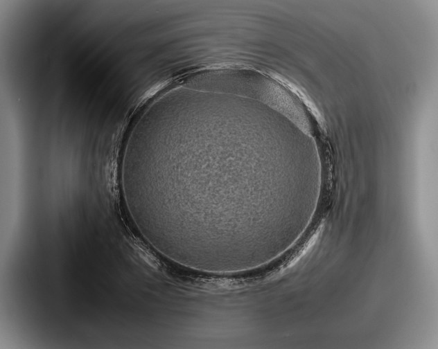 X0000087670881200705111155