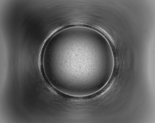 X0000087670885200705111155